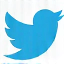 Twitter icon